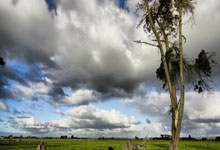 俄罗斯凭篮板击败“神经一样”对手,欧洲预选赛大比分胜负的背后故事