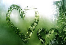 女篮世锦赛冠军诞生，美国女篮成功卫冕